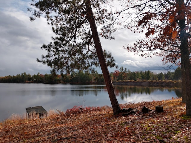 property view of water