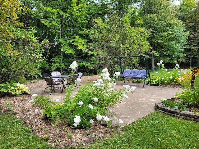 view of yard with a patio