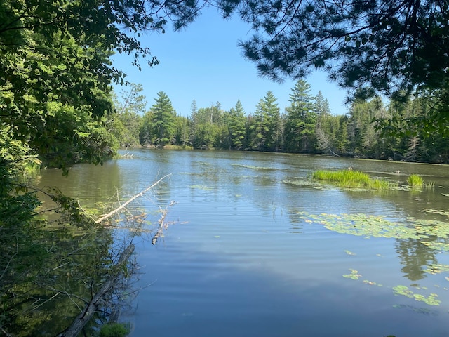 LOT3 Funk Rd Thunder Bay River Waterfront, Thunder Bay River Waterfront, Hillman MI, 49746 land for sale