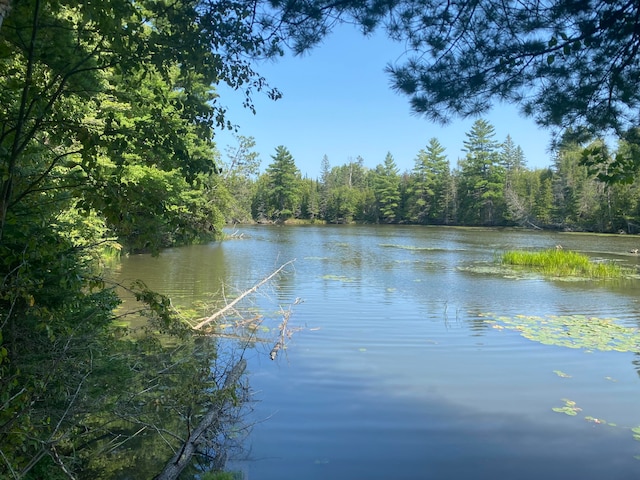 Listing photo 3 for LOT4 Funk Rd Thunder Bay River Waterfront, Thunder Bay River Waterfront, Hillman MI 49746