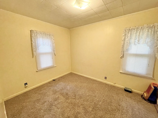 carpeted spare room featuring ornamental molding