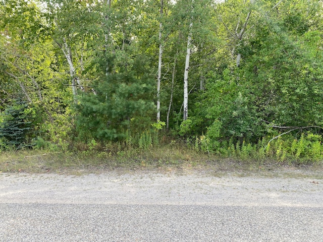 S Second St Unit 13 18, Rogers City MI, 49779 land for sale