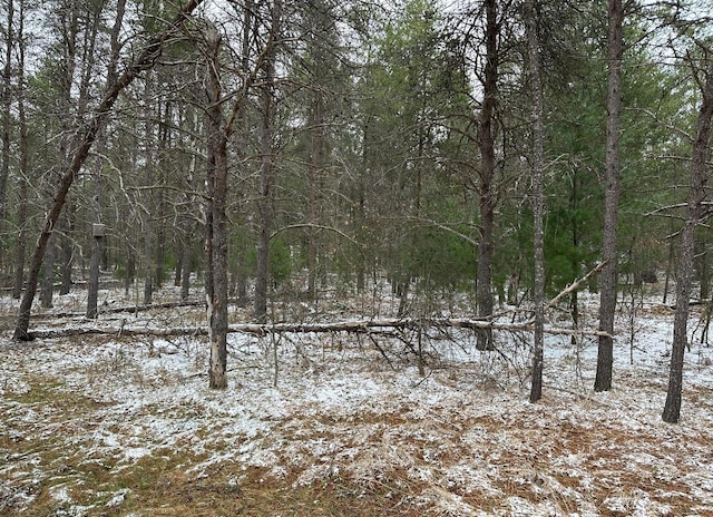 snowy view with a wooded view