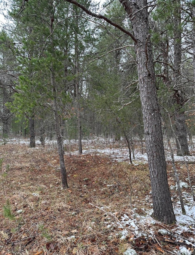 view of local wilderness with a wooded view