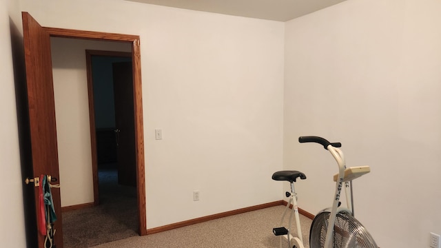 workout room featuring carpet flooring