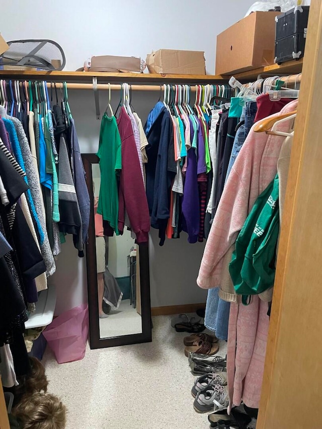 walk in closet featuring carpet flooring