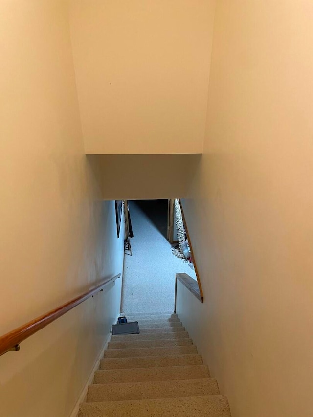 staircase featuring carpet floors