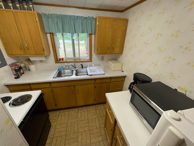 kitchen with ornamental molding, sink, and white range with electric cooktop