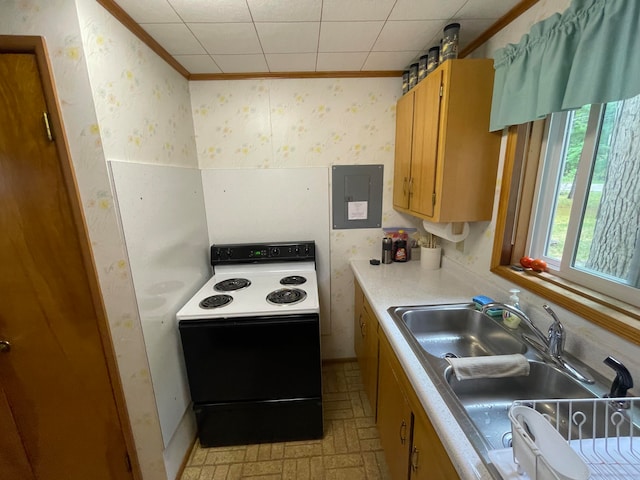 kitchen featuring electric range, ornamental molding, electric panel, and sink