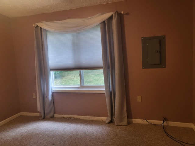 unfurnished room featuring carpet flooring, electric panel, and a textured ceiling