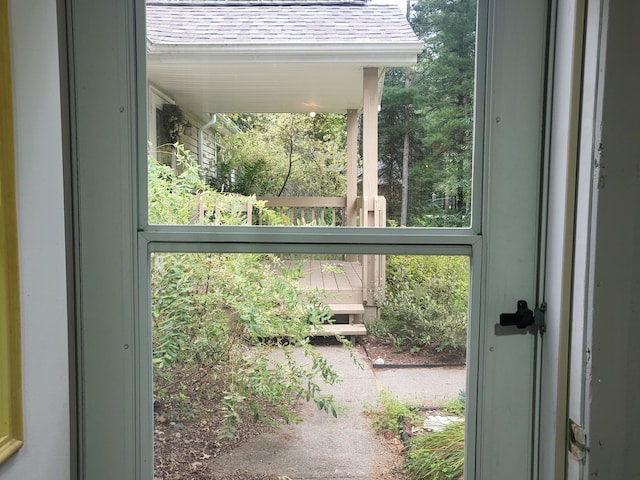 doorway featuring a wealth of natural light