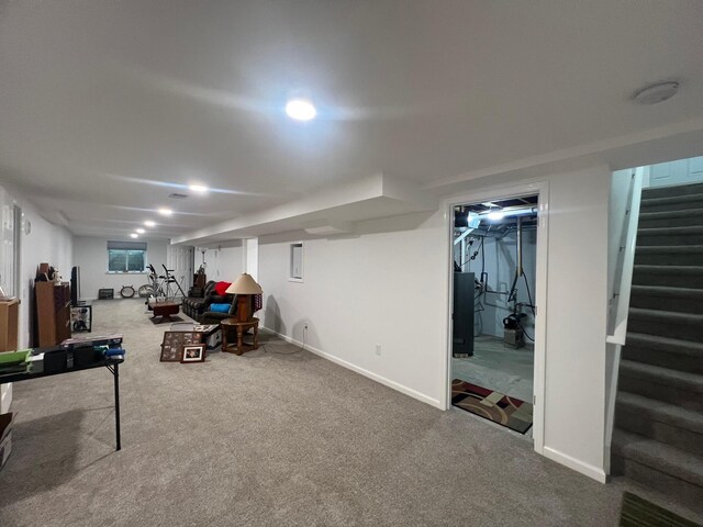 basement featuring carpet flooring