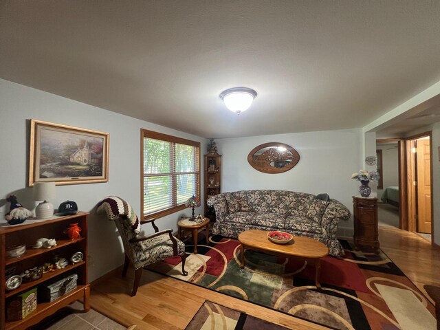 living room featuring hardwood / wood-style flooring