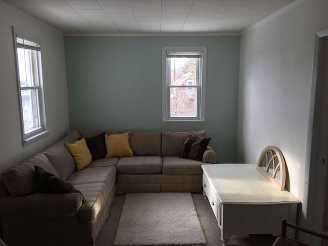 living room with carpet floors and crown molding