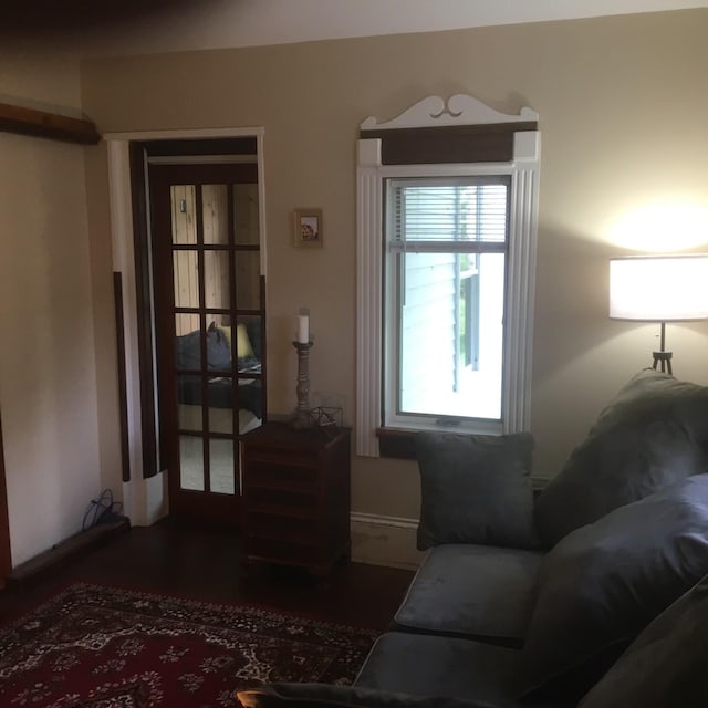 living room with dark hardwood / wood-style floors