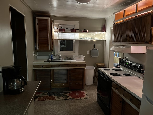 kitchen featuring light colored carpet, sink, and white appliances