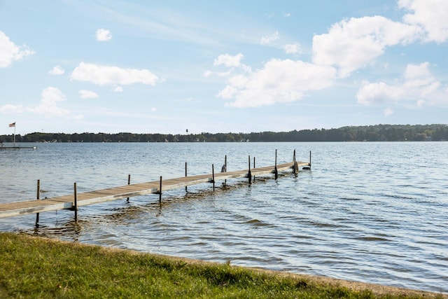 dock area with a water view