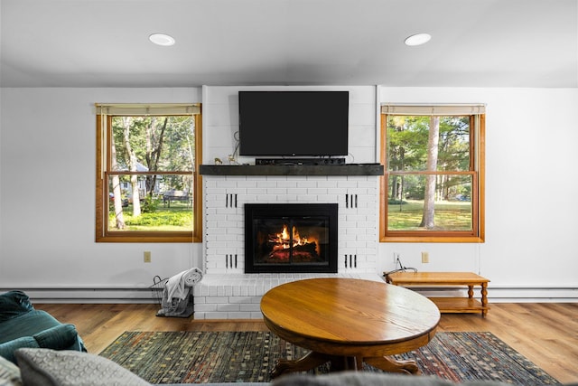 living room with baseboard heating, a healthy amount of sunlight, and hardwood / wood-style floors