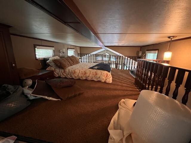 interior space with carpet flooring and a textured ceiling