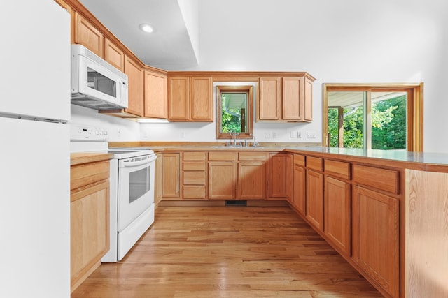 kitchen with sink, white appliances, and light hardwood / wood-style floors