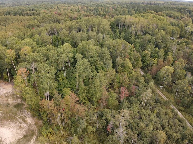 7716 Fulmer Rd, Wolverine MI, 49799 land for sale