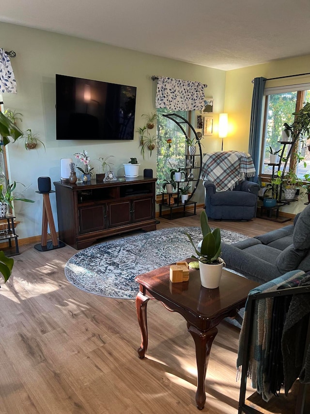 living room featuring light hardwood / wood-style flooring