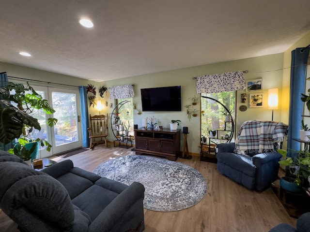 living room with hardwood / wood-style floors