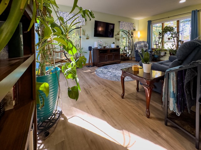 living room with light hardwood / wood-style floors