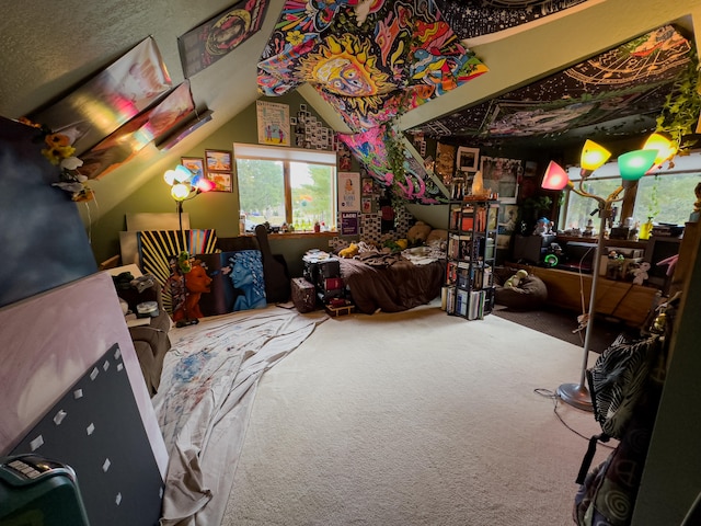 interior space featuring lofted ceiling and carpet