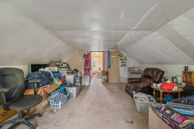 additional living space featuring lofted ceiling and carpet floors