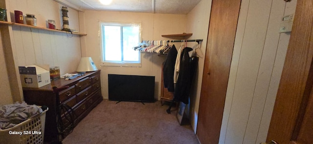 spacious closet with carpet