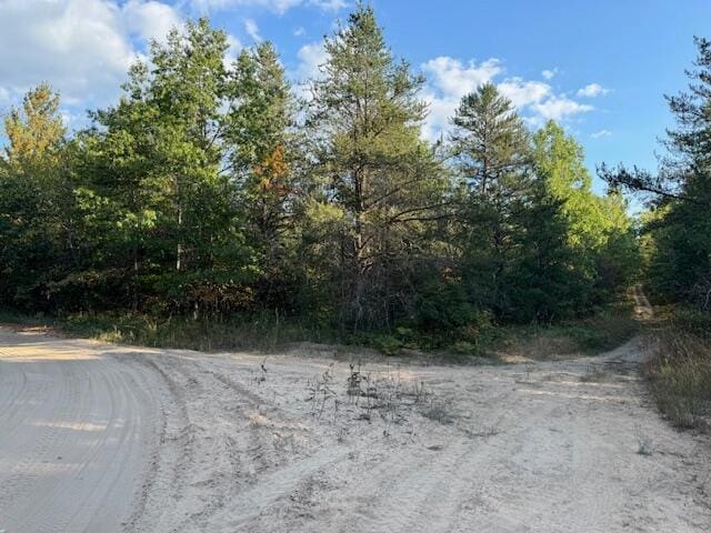 LOT415 Larch St, Johannesburg MI, 49751 land for sale