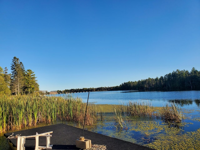 property view of water