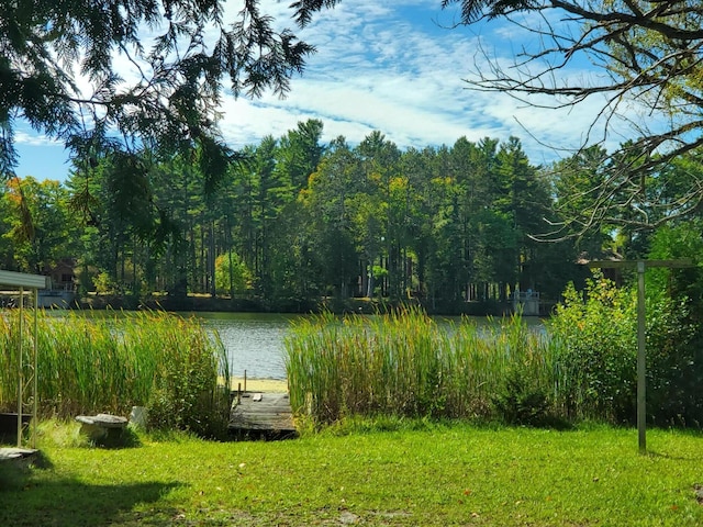 property view of water