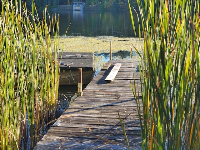 dock area with a water view