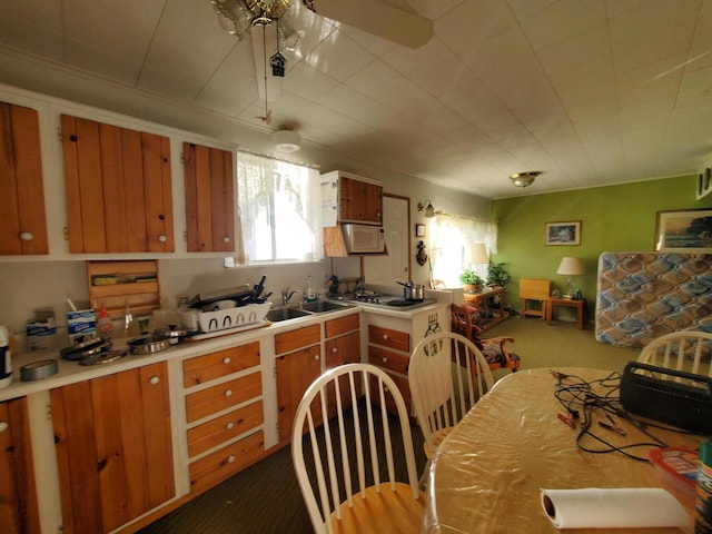 kitchen with ceiling fan, sink, stainless steel gas stovetop, and dark colored carpet