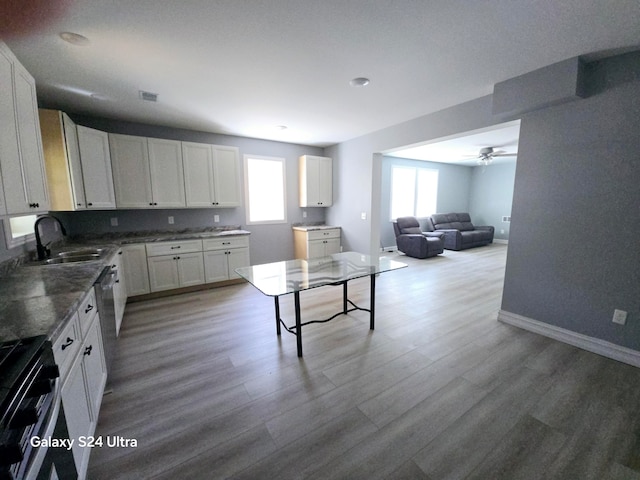 kitchen featuring white cabinets, a wealth of natural light, and ceiling fan