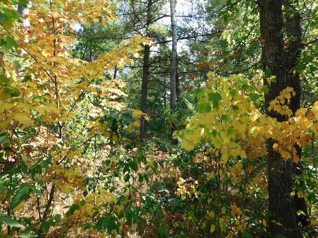 view of landscape