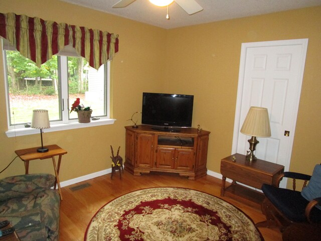 living room featuring ceiling fan and hardwood / wood-style floors