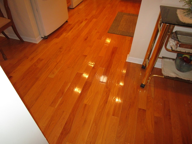 room details with hardwood / wood-style flooring