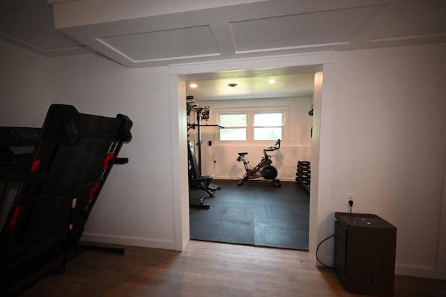 workout room featuring light hardwood / wood-style floors