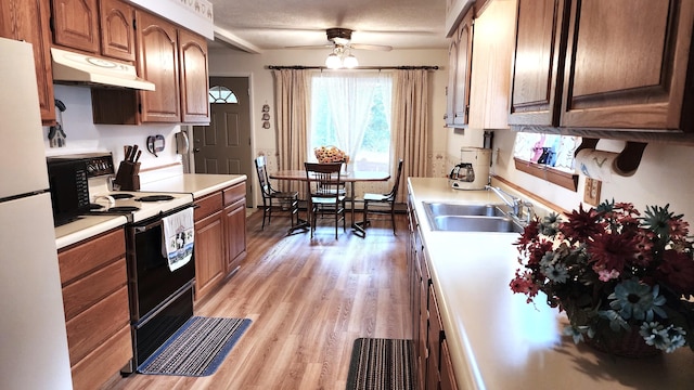 kitchen featuring light wood-type flooring, sink, ceiling fan, white fridge, and black range with electric cooktop