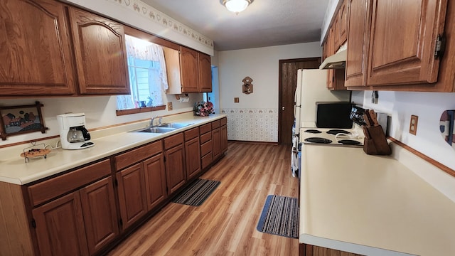 kitchen featuring light hardwood / wood-style flooring and sink