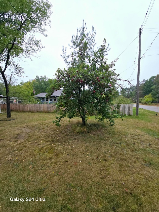 view of yard