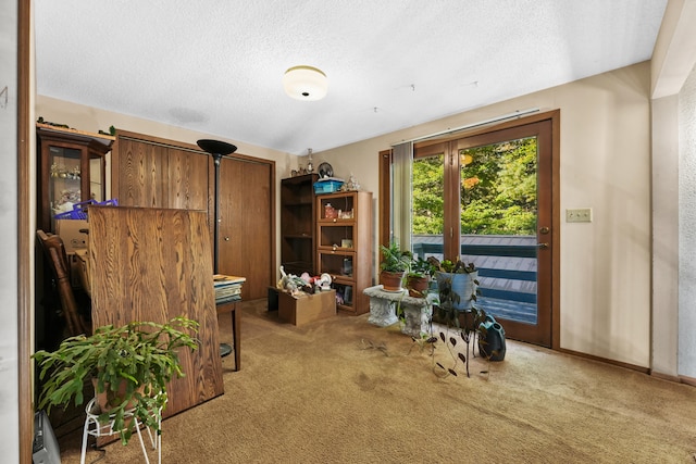 misc room featuring a textured ceiling and carpet flooring