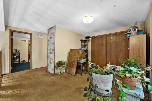 miscellaneous room featuring carpet floors and a textured ceiling