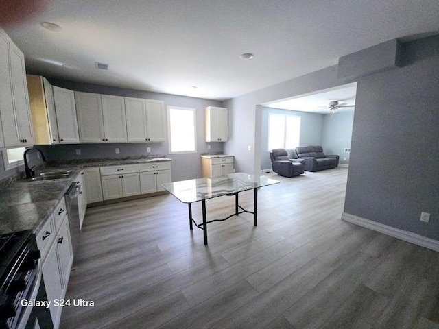 kitchen with wood-type flooring, plenty of natural light, and white cabinets