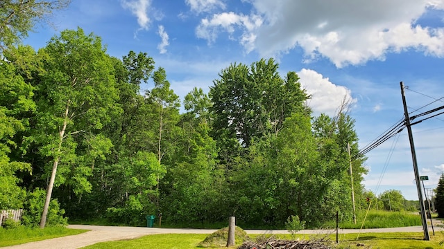 view of home's community