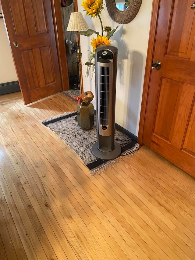 details with wood-type flooring