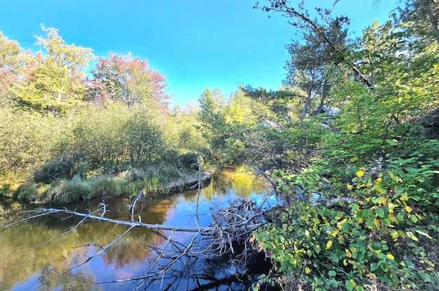 Listing photo 2 for LOT12 N Betsy River Rd Unit 5.8Ac, Paradise MI 49768